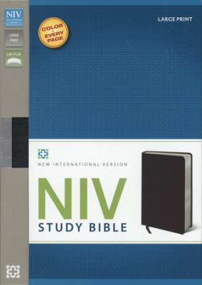 NIV Study Bible Large Print B/L Black - Zondervan